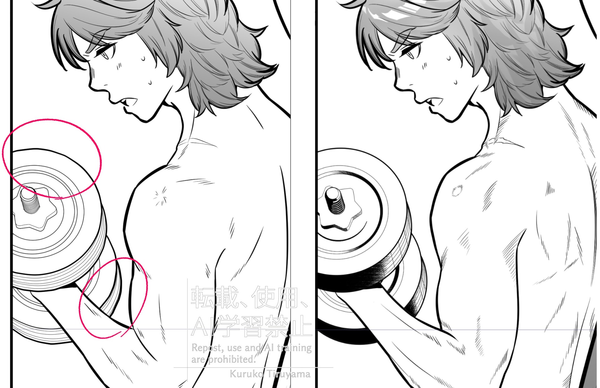 背中の筋肉描き直し